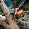 Reliable Tree Removal & Stump Removal